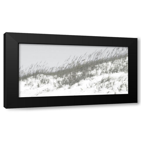 Lush Dunes I Black Modern Wood Framed Art Print with Double Matting by Chandler, Sharon