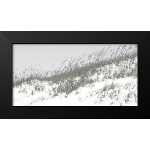 Lush Dunes I Black Modern Wood Framed Art Print by Chandler, Sharon
