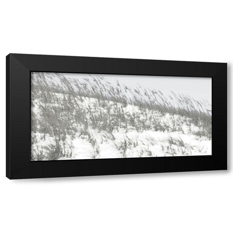 Lush Dunes II Black Modern Wood Framed Art Print by Chandler, Sharon