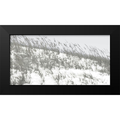 Lush Dunes II Black Modern Wood Framed Art Print by Chandler, Sharon