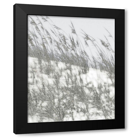 Lush Dunes III Black Modern Wood Framed Art Print by Chandler, Sharon