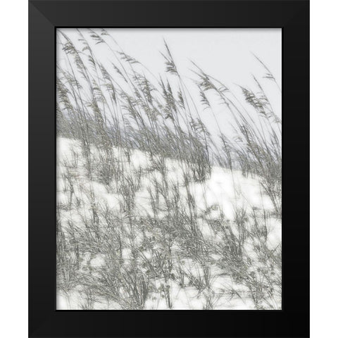Lush Dunes III Black Modern Wood Framed Art Print by Chandler, Sharon