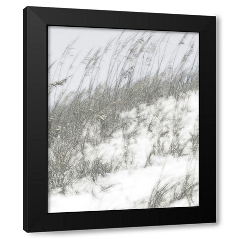 Lush Dunes IV Black Modern Wood Framed Art Print with Double Matting by Chandler, Sharon