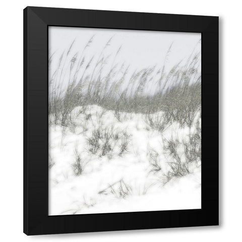 Lush Dunes V Black Modern Wood Framed Art Print with Double Matting by Chandler, Sharon