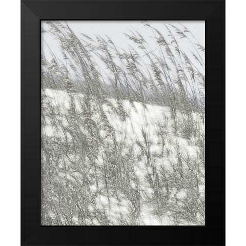 Lush Dunes VI Black Modern Wood Framed Art Print by Chandler, Sharon