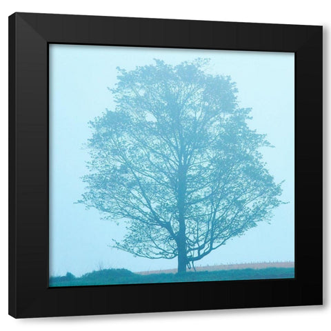 Spring Tree Black Modern Wood Framed Art Print by McLoughlin, James