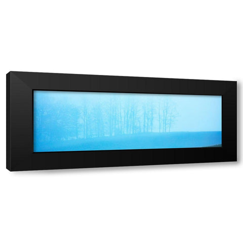 Tree Panorama II Black Modern Wood Framed Art Print with Double Matting by McLoughlin, James