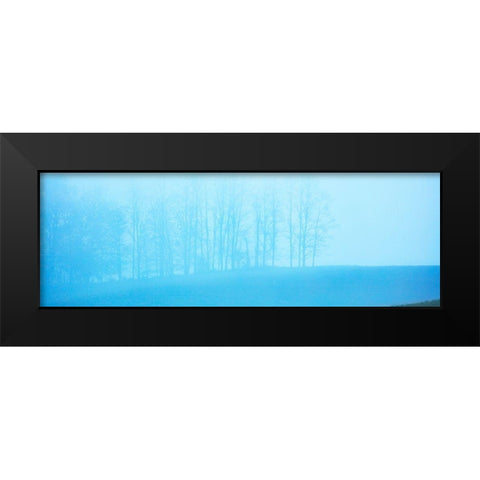 Tree Panorama II Black Modern Wood Framed Art Print by McLoughlin, James
