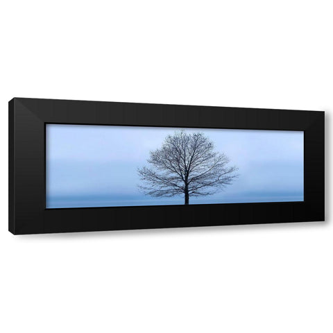 Tree Panorama VI Black Modern Wood Framed Art Print by McLoughlin, James