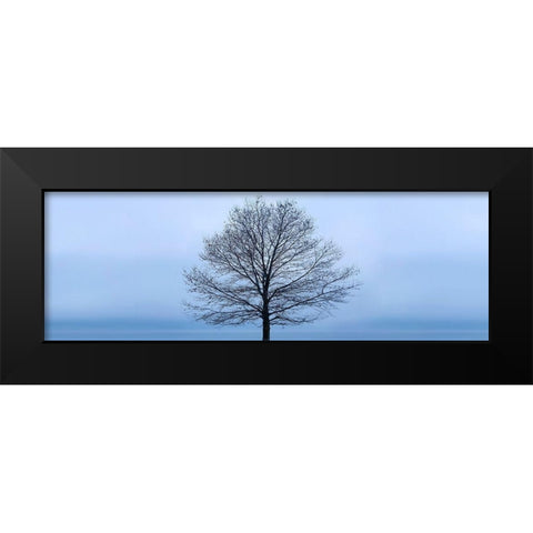 Tree Panorama VI Black Modern Wood Framed Art Print by McLoughlin, James
