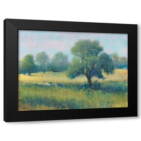 Summer Time I Black Modern Wood Framed Art Print with Double Matting by OToole, Tim