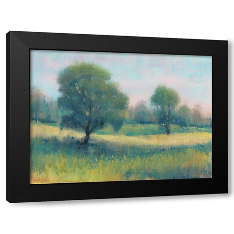 Summer Time II Black Modern Wood Framed Art Print with Double Matting by OToole, Tim