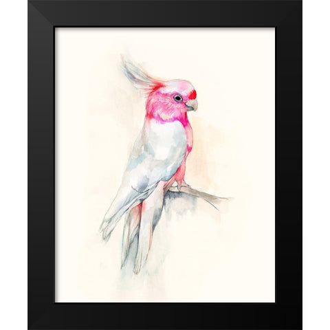 Opera Cockatoo I Black Modern Wood Framed Art Print by Goldberger, Jennifer