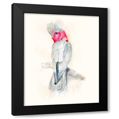 Opera Cockatoo II Black Modern Wood Framed Art Print by Goldberger, Jennifer