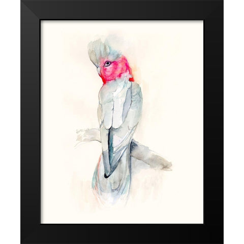 Opera Cockatoo II Black Modern Wood Framed Art Print by Goldberger, Jennifer