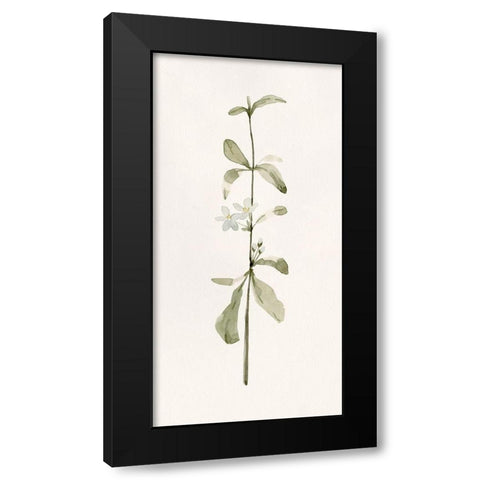 Early Blooms I Black Modern Wood Framed Art Print with Double Matting by Caroline, Emma