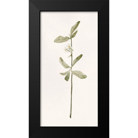 Early Blooms II Black Modern Wood Framed Art Print by Caroline, Emma