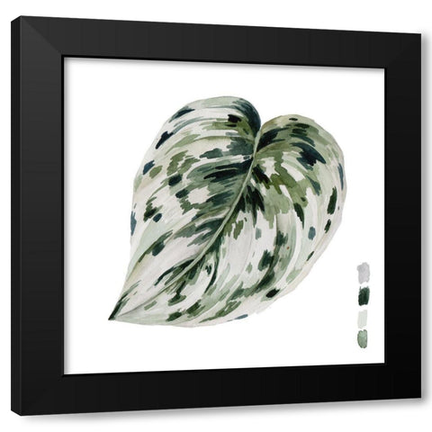 Scindapsus I Black Modern Wood Framed Art Print with Double Matting by Wang, Melissa
