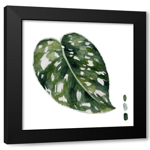 Scindapsus II Black Modern Wood Framed Art Print with Double Matting by Wang, Melissa