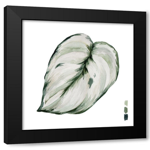 Scindapsus III Black Modern Wood Framed Art Print with Double Matting by Wang, Melissa
