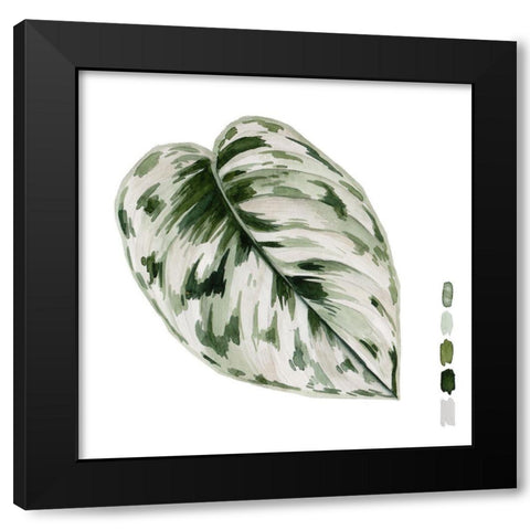 Scindapsus IV Black Modern Wood Framed Art Print with Double Matting by Wang, Melissa