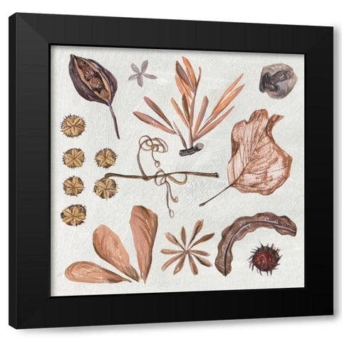 Small Things VI Black Modern Wood Framed Art Print with Double Matting by Wang, Melissa
