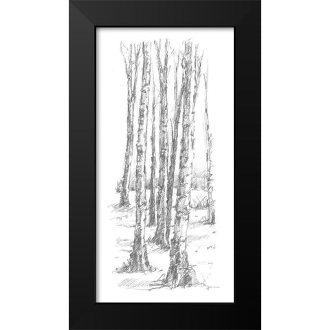 Birch Tree Sketch II Black Modern Wood Framed Art Print by Harper, Ethan
