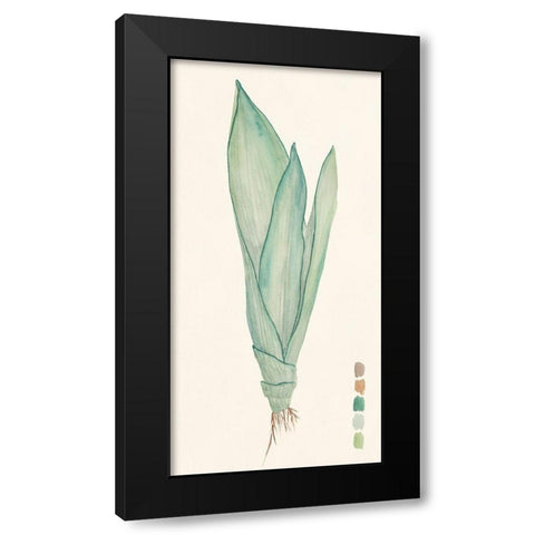 Snake Plants II Black Modern Wood Framed Art Print with Double Matting by Wang, Melissa