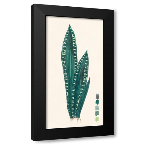 Snake Plants III Black Modern Wood Framed Art Print with Double Matting by Wang, Melissa