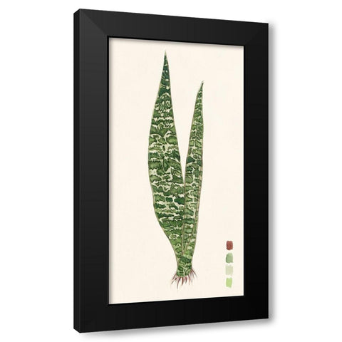 Snake Plants IV Black Modern Wood Framed Art Print with Double Matting by Wang, Melissa