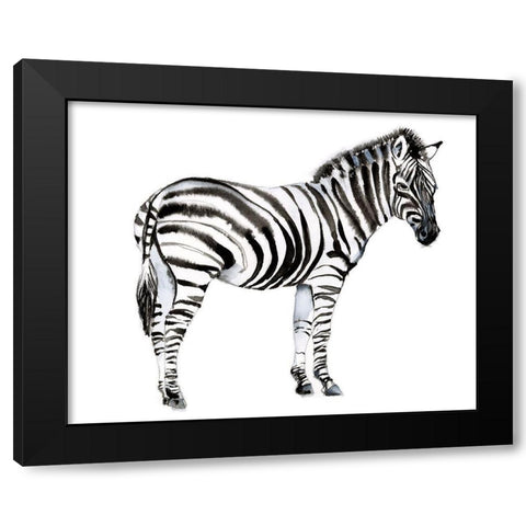 Standing Zebra I Black Modern Wood Framed Art Print by Goldberger, Jennifer