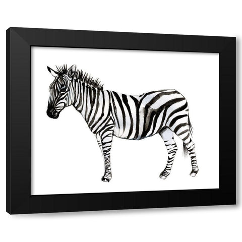 Standing Zebra II Black Modern Wood Framed Art Print by Goldberger, Jennifer