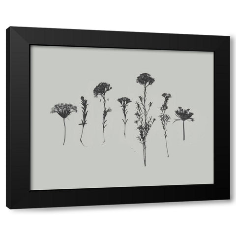 Wildflower Memory II Black Modern Wood Framed Art Print by Goldberger, Jennifer