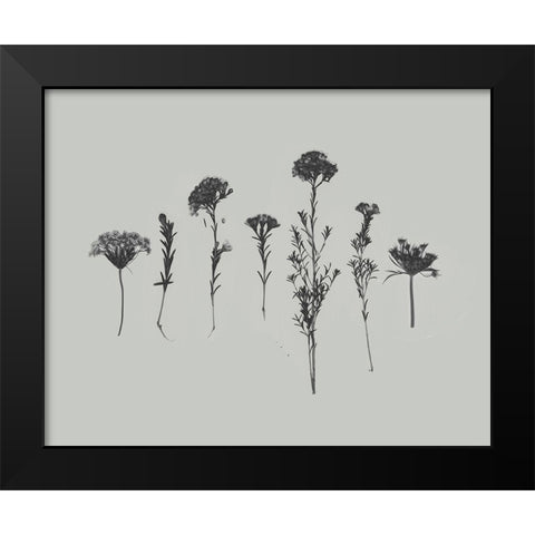 Wildflower Memory II Black Modern Wood Framed Art Print by Goldberger, Jennifer