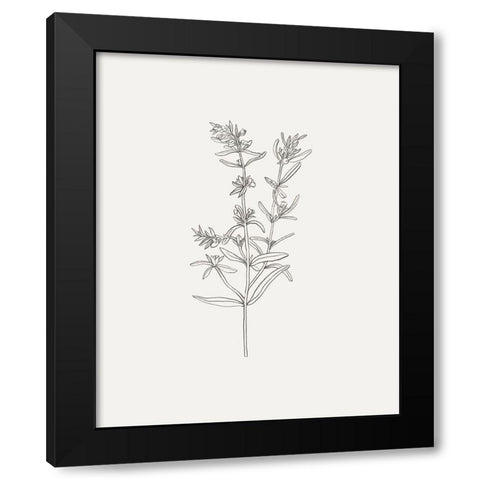 Wild Foliage Sketch I Black Modern Wood Framed Art Print by Borges, Victoria