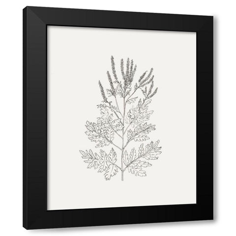 Wild Foliage Sketch II Black Modern Wood Framed Art Print with Double Matting by Borges, Victoria