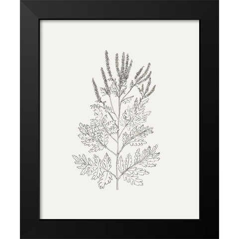 Wild Foliage Sketch II Black Modern Wood Framed Art Print by Borges, Victoria