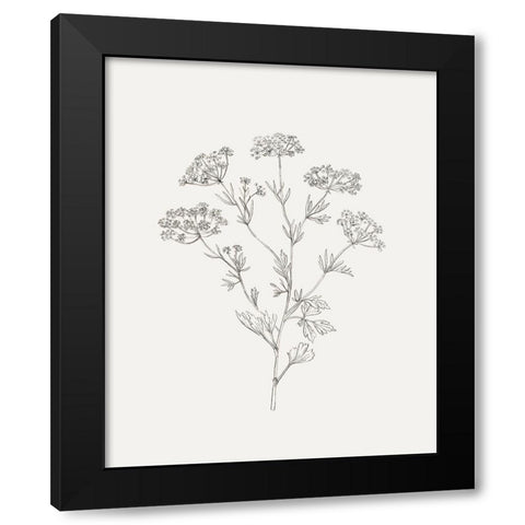 Wild Foliage Sketch III Black Modern Wood Framed Art Print with Double Matting by Borges, Victoria