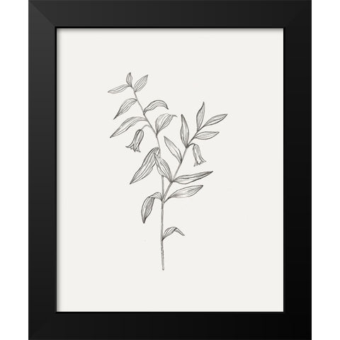 Wild Foliage Sketch IV Black Modern Wood Framed Art Print by Borges, Victoria