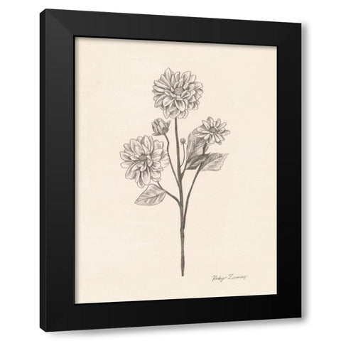 Garden Zinnias II Black Modern Wood Framed Art Print with Double Matting by Popp, Grace