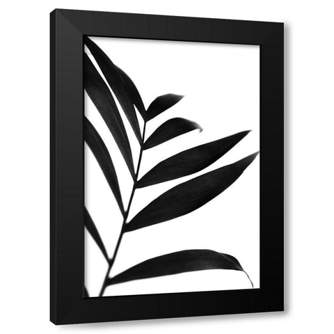 Black Palms IV Black Modern Wood Framed Art Print with Double Matting by Stramel, Renee W.