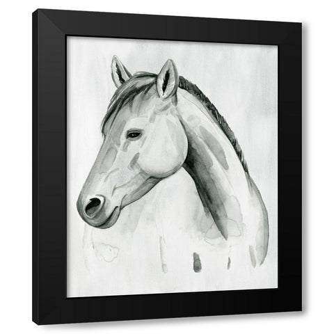 Silver Gelding II Black Modern Wood Framed Art Print by Popp, Grace