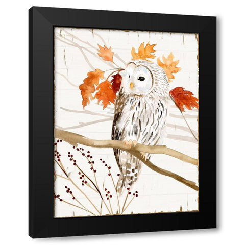Harvest Owl II Black Modern Wood Framed Art Print by Borges, Victoria