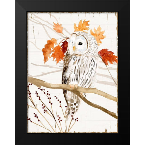 Harvest Owl II Black Modern Wood Framed Art Print by Borges, Victoria