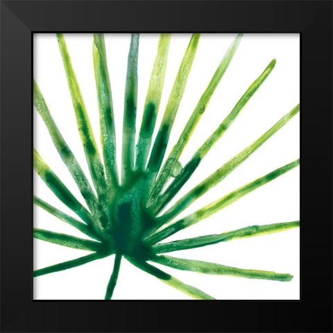 Tropical Jewel I Black Modern Wood Framed Art Print by Vess, June Erica