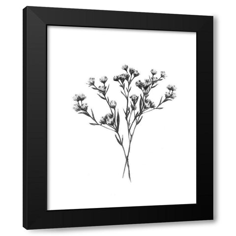 Wild Thistle Bundle II Black Modern Wood Framed Art Print with Double Matting by Scarvey, Emma