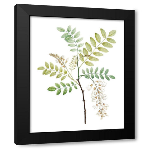 Soft Green Botanical I Black Modern Wood Framed Art Print with Double Matting by Vision Studio