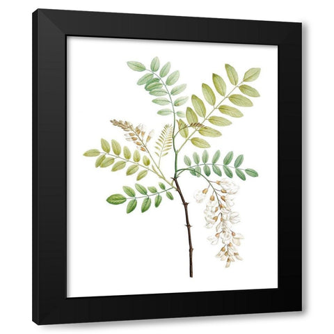 Soft Green Botanical I Black Modern Wood Framed Art Print by Vision Studio