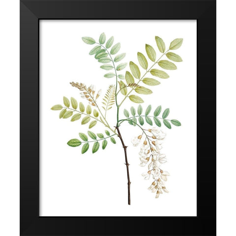 Soft Green Botanical I Black Modern Wood Framed Art Print by Vision Studio
