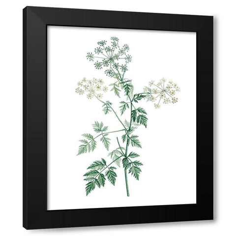 Soft Green Botanical II Black Modern Wood Framed Art Print by Vision Studio